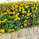 Albufeira4us 아파트